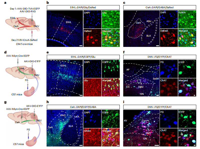 图片4.png 图片4.png