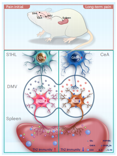图片5.png 图片5.png
