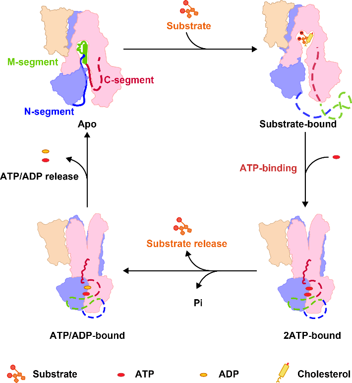 图片2.png 图片2.png